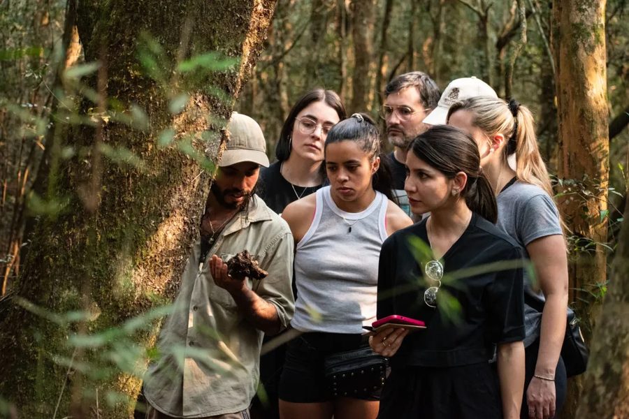 Guía mostrando un hongo a un grupo de visitantes en la selva