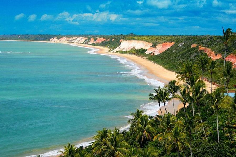 Playa de aguas cálidas y cocoteros en Porto Seguro