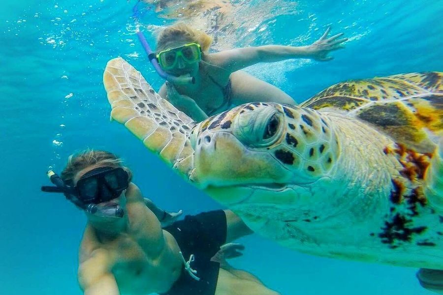 Nadando junto a una tortuga marina en las aguas de la Riviera Maya